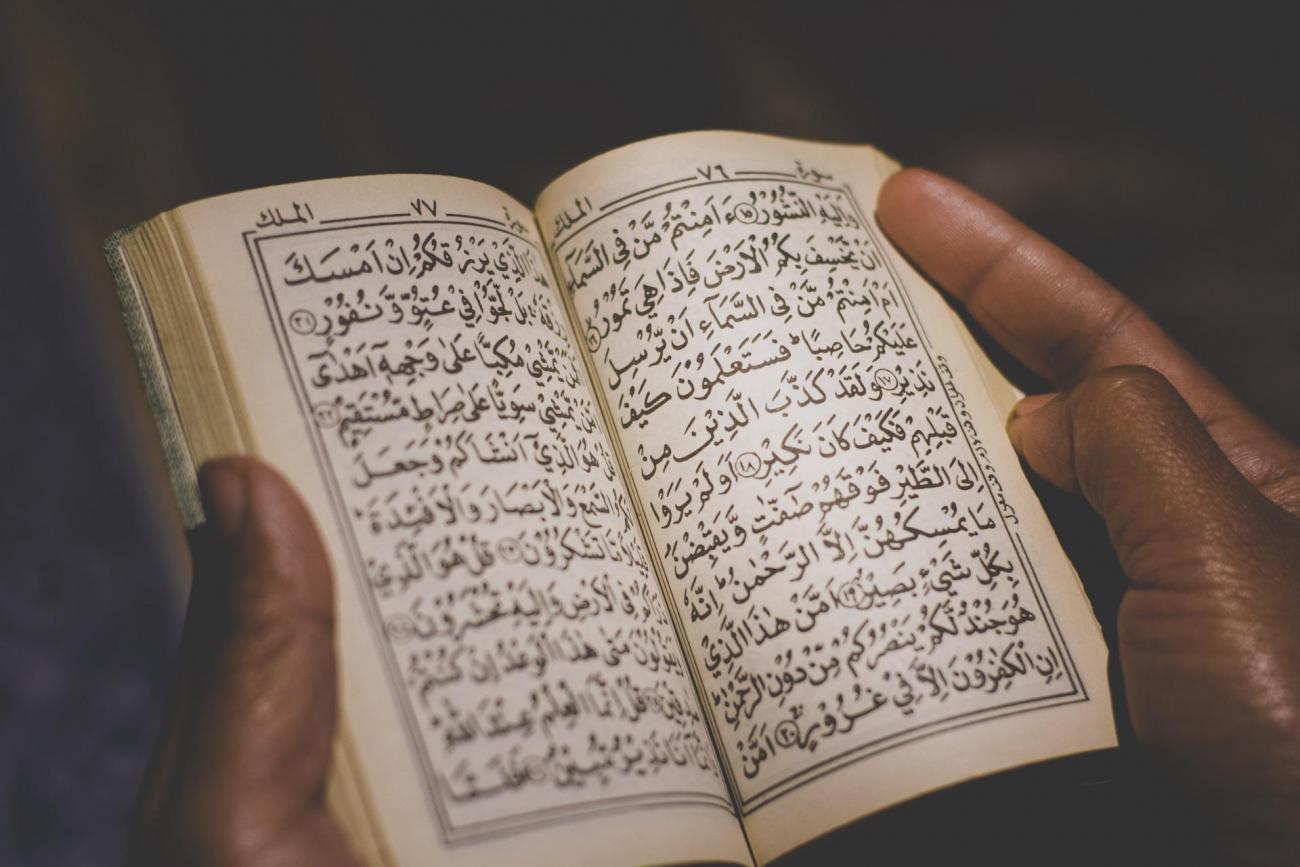 Islamic and Muslim American Studies